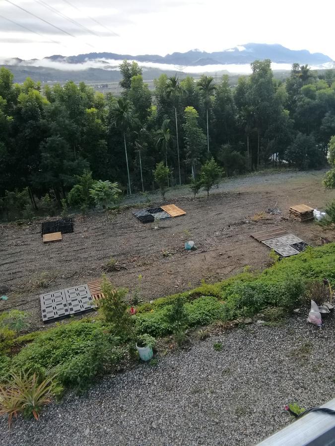 台東民宿 關山桃花心木民宿農場 Guanshan Exterior photo